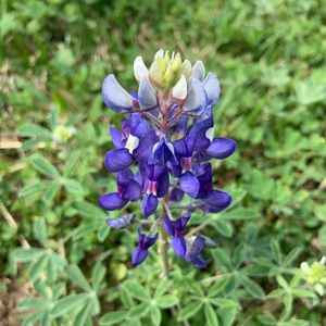 Meet your Posher, Ren